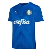 23-24 Palmeiras Goalkeeper Blue Soccer Football Kit Man