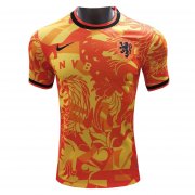 22-23 Netherlands Special Edition Orange Soccer Football Kit Man