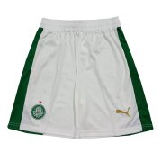 23-24 Palmeiras Home Soccer Football Shorts Man