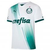 23-24 Palmeiras Away Soccer Football Kit Man